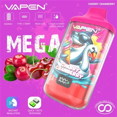 VAPEN MEGA 50000 isapan